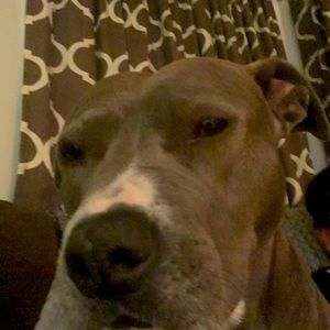 Meet your Posher, Mia